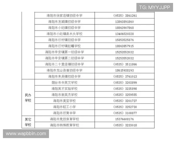 BBIN注册登录入口的最新更新信息及维护公告，及时掌握平台动态