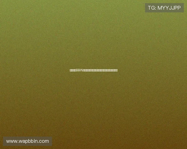 如何利用BBIN平台网页版进行高效投注与盈利策略提升游戏收益