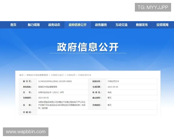 宝盈官网安全保障措施详解确保玩家账号信息与资金安全