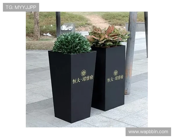 结合历史数据与趋势分析的大发快三预测指南帮助玩家制定科学投注计划